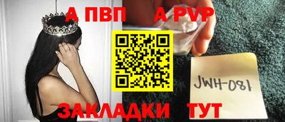 стаф Малгобек
