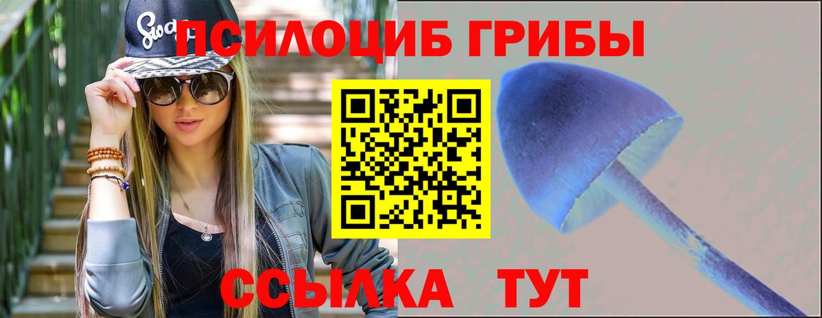 Псилоцибиновые грибы Psilocybine cubensis Чебаркуль